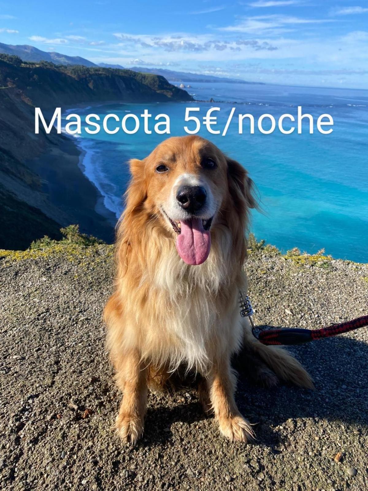 库迪列罗Casa Chisco公寓 外观 照片